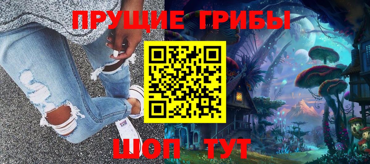 Пенза  Псилоцибиновые грибы мицелий  Вход с VPN 